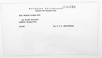 Image Associated With the Occurence